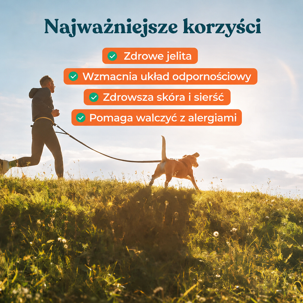 IntegroPet – probiotyk na trawienie