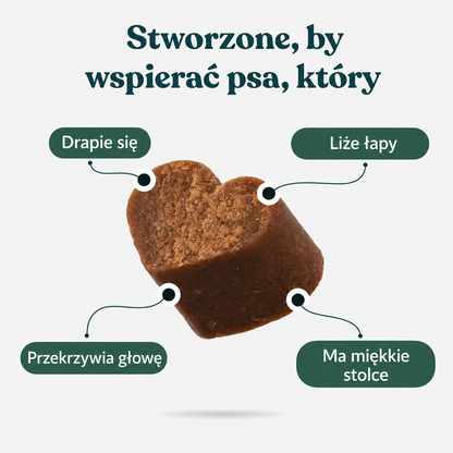 IntegroPet – probiotyk na trawienie