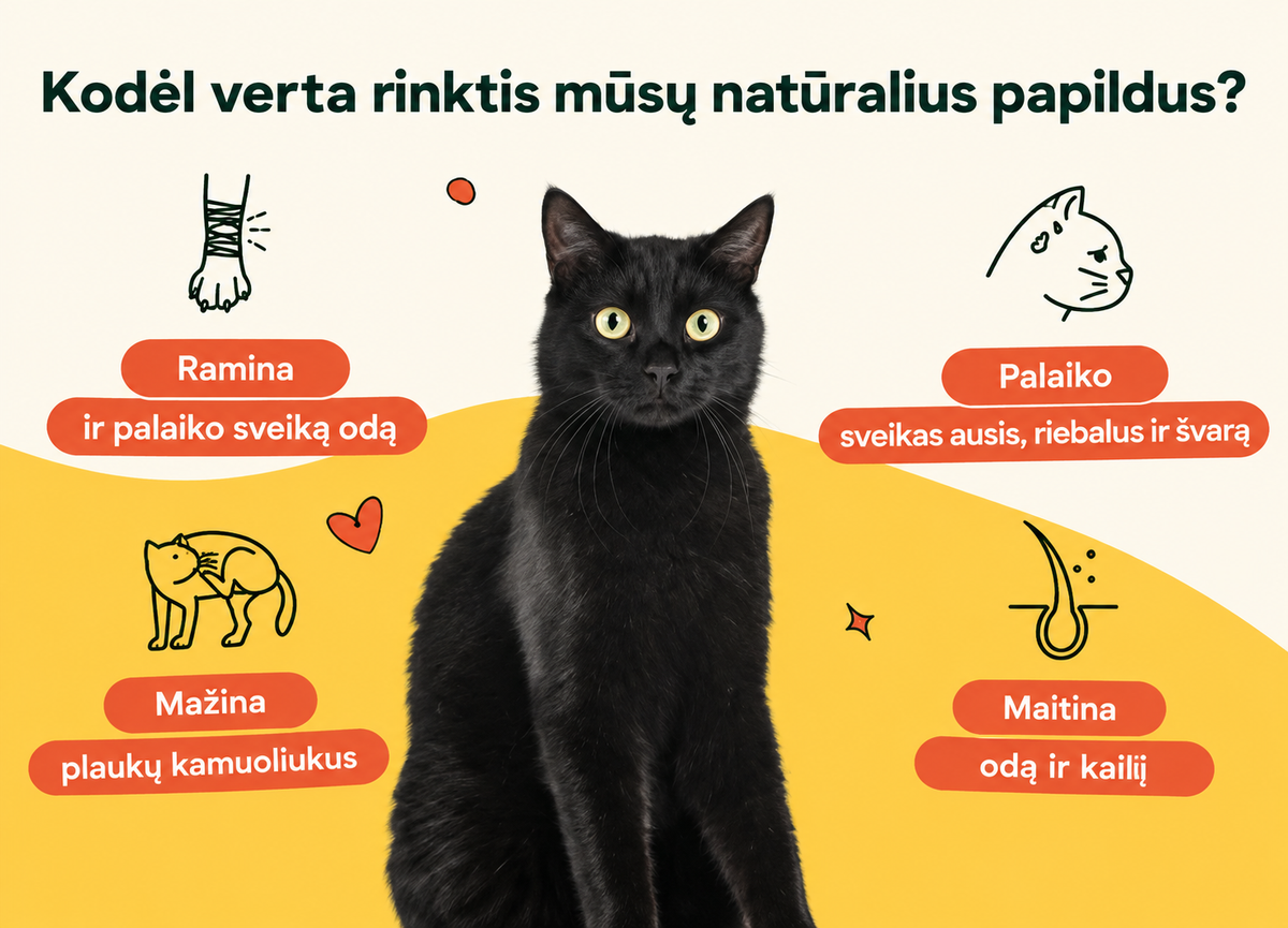 Natūralūs skanėstai katėms imunitetui stiprinti ir nuo niežulio