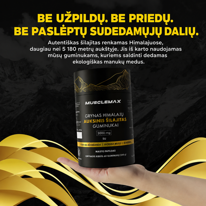 Šilajito guminukai