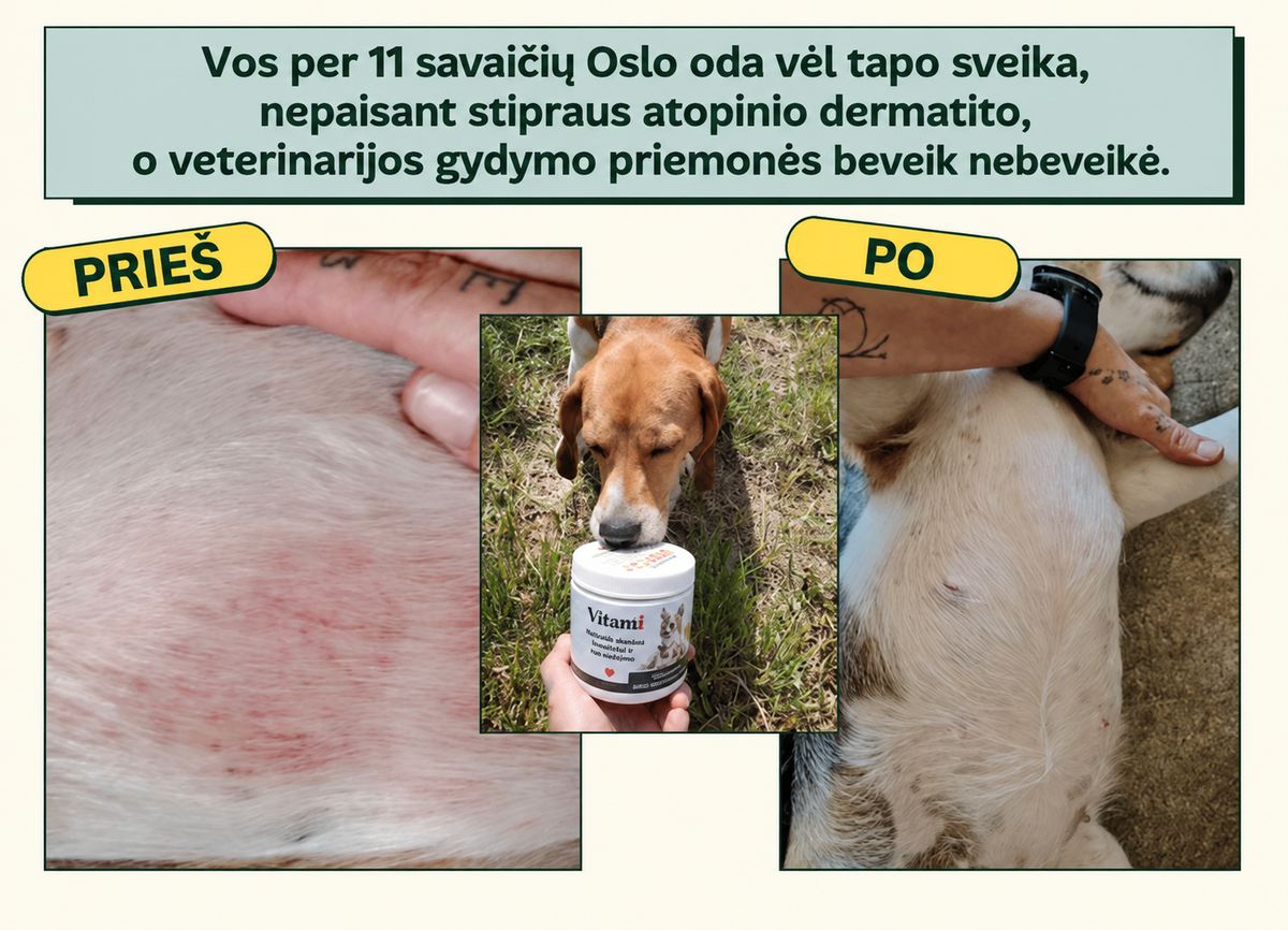 Natūralūs skanėstai imunitetui ir nuo niežėjimo