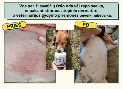 Natūralūs skanėstai imunitetui ir nuo niežėjimo