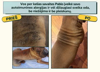 Natūralūs skanėstai imunitetui ir nuo niežėjimo