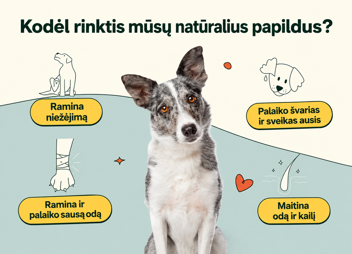 Natūralūs skanėstai imunitetui ir nuo niežėjimo