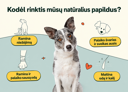 Natūralūs skanėstai imunitetui ir nuo niežėjimo