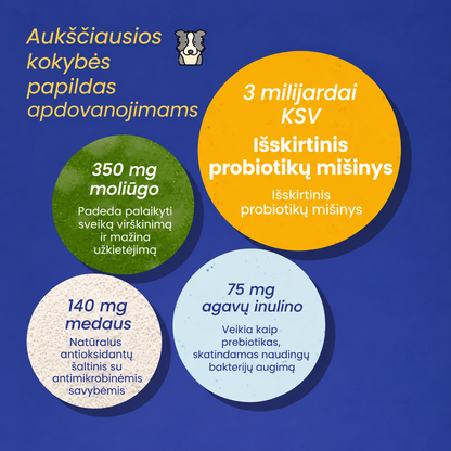 Žarnyno palaikymo kramtukai