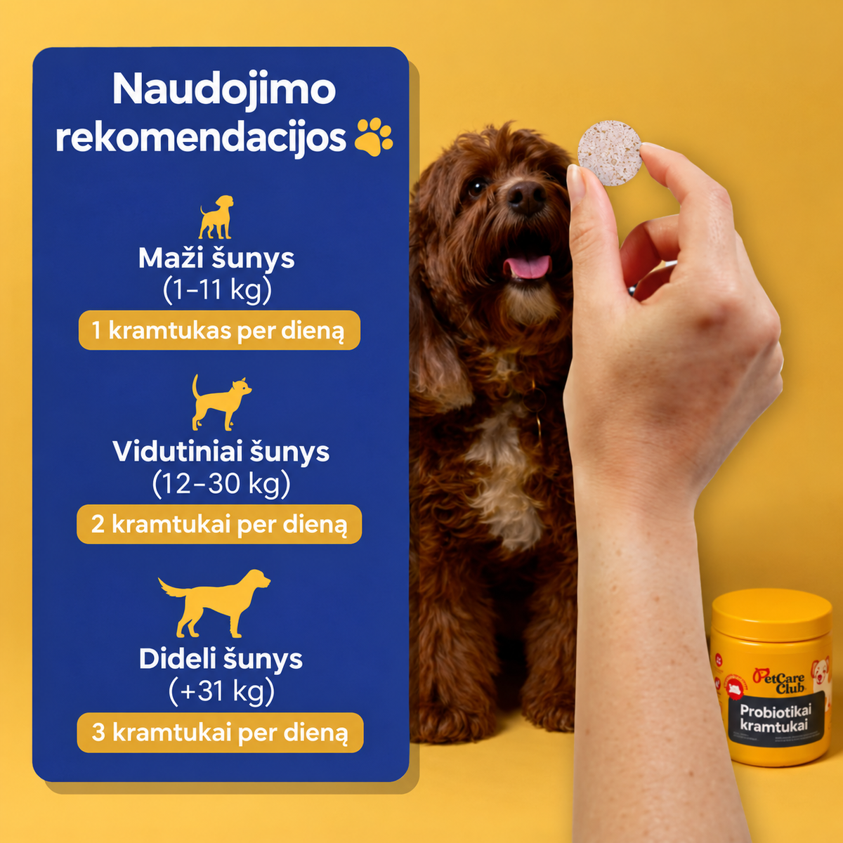 Žarnyno palaikymo kramtukai