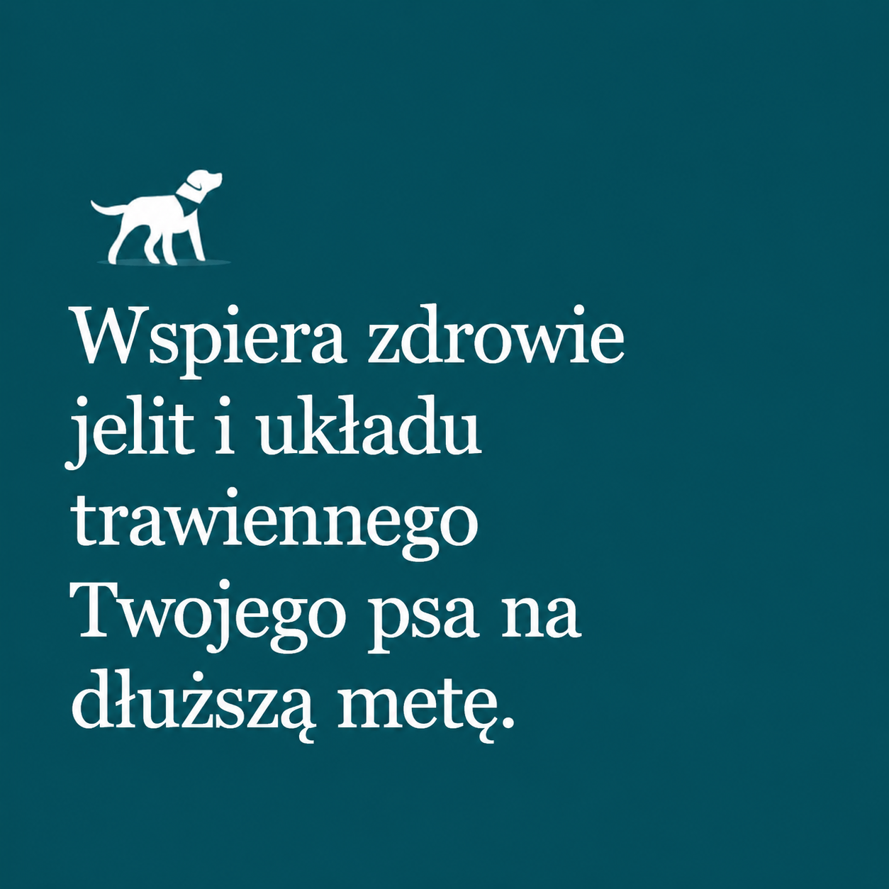 IntegroPet – probiotyk na trawienie
